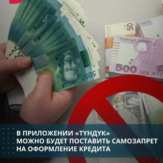 В приложении «Түндүк» можно будет поставить самозапрет на оформление кредита