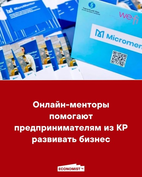 Онлайн-менторы помогают предпринимателям из КР развивать бизнес