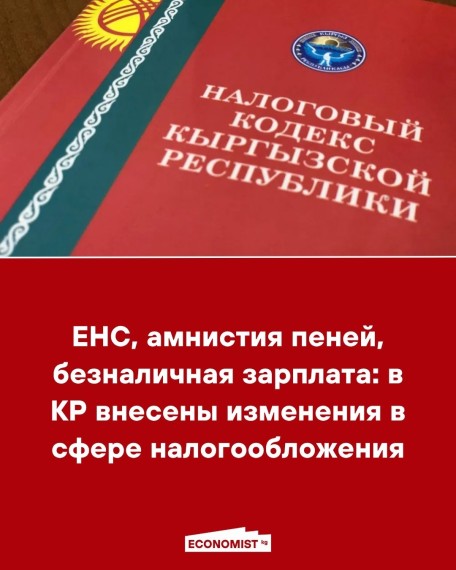 ЕНС, амнистия пеней, безналичная зарплата: в КР внесены изменения в сфере налогообложения