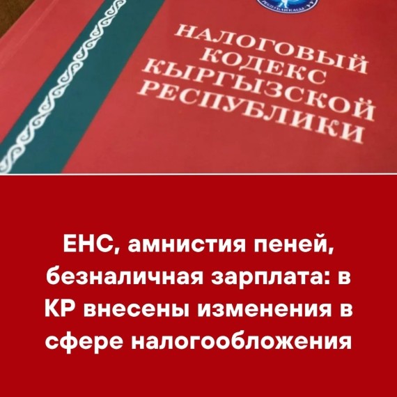 ЕНС, амнистия пеней, безналичная зарплата: в КР внесены изменения в сфере налогообложения