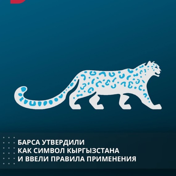Барса утвердили как символ Кыргызстана и ввели правила применения