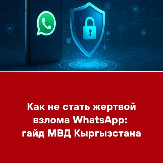 Как не стать жертвой взлома WhatsApp: гайд МВД Кыргызстана