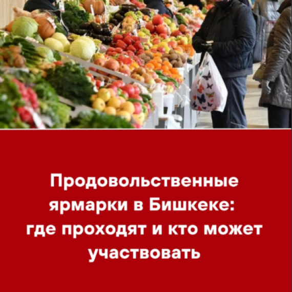 Продовольственные ярмарки в Бишкеке: где проходят и кто может участвовать