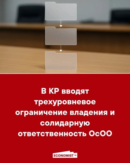 В КР вводят трехуровневое ограничение владения и солидарную ответственность ОсОО