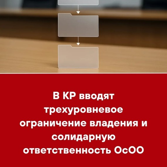 В КР вводят трехуровневое ограничение владения и солидарную ответственность ОсОО
