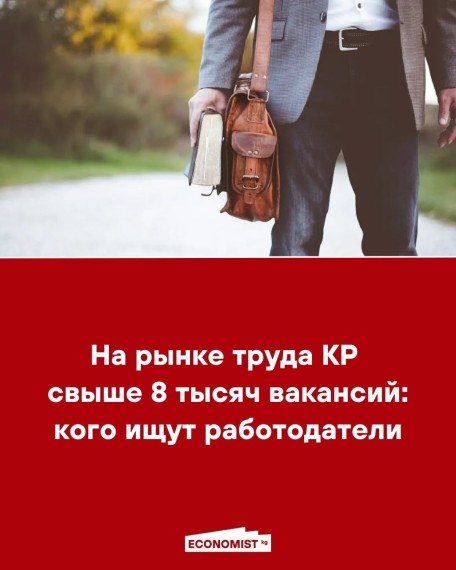 На рынке труда КР свыше 8 тысяч вакансий: кого ищут работодатели
