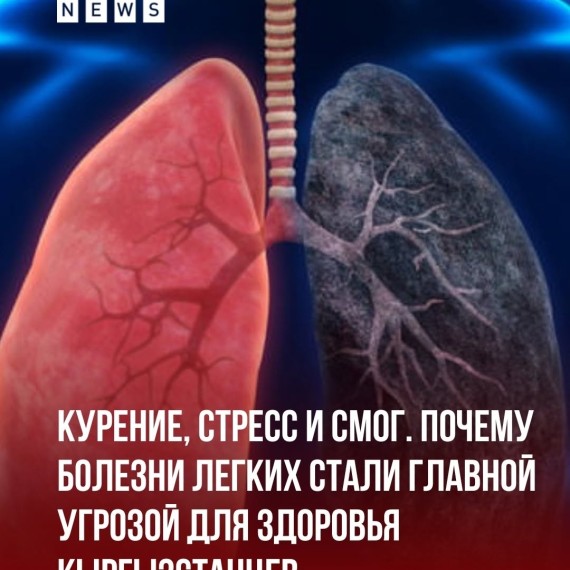 Курение, стресс и смог. Почему болезни легких стали главной угрозой для здоровья кыргызстанцев
