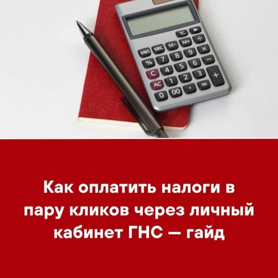 Как оплатить налоги в пару кликов через личный кабинет ГНС - гайд