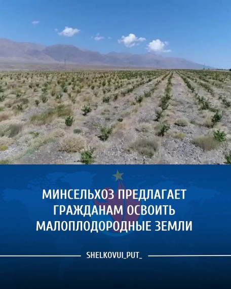 Минсельхоз предлагает гражданам освоить малоплодородные земли