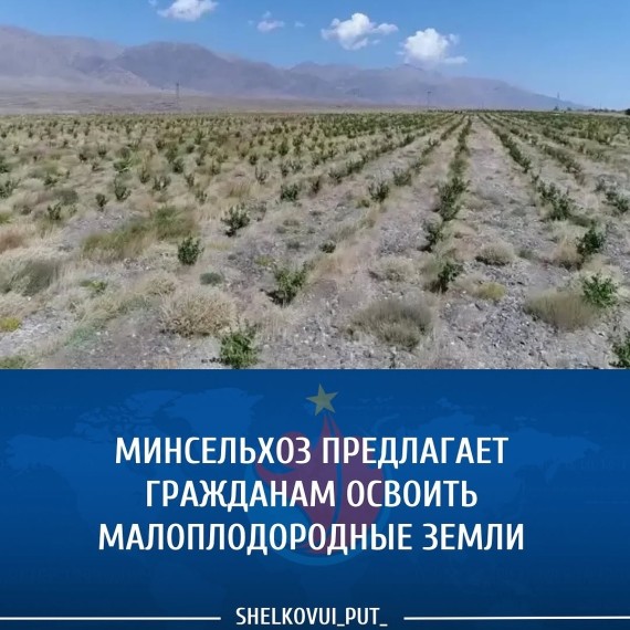 Минсельхоз предлагает гражданам освоить малоплодородные земли