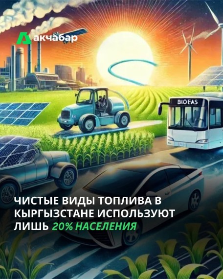 Чистые виды топлива в Кыргызстане используют лишь 20% населения