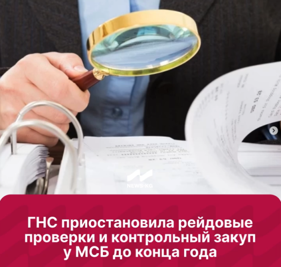ГНС приостановила рейдовые проверки и контрольный закуп у МСБ до конца года