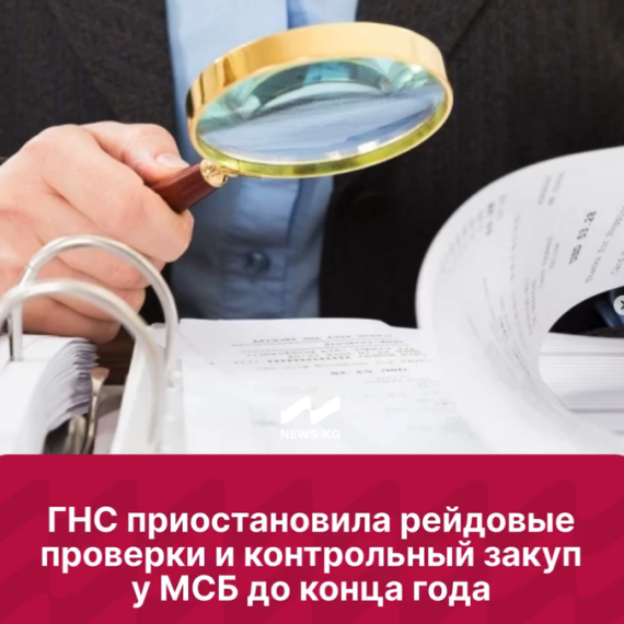 ГНС приостановила рейдовые проверки и контрольный закуп у МСБ до конца года