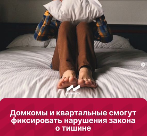 Домкомы и квартальные смогут фиксировать нарушения закона о тишине