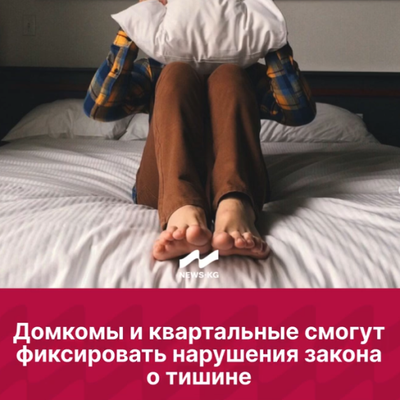 Домкомы и квартальные смогут фиксировать нарушения закона о тишине