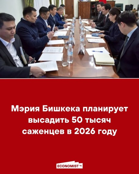 Мэрия Бишкека планирует высадить 50 тысяч саженцев в 2026 году