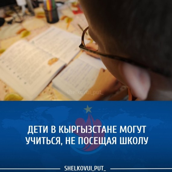 Дети в Кыргызстане могут учиться, не посещая школу