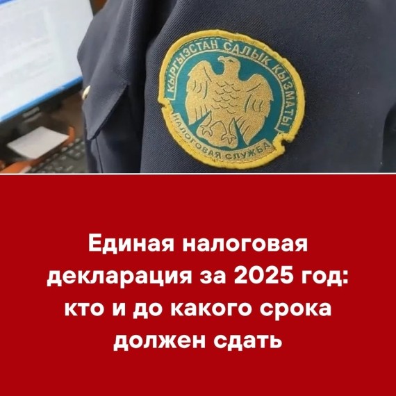 Единая налоговая декларация за 2025 год: кто и до какого срока должен сдать