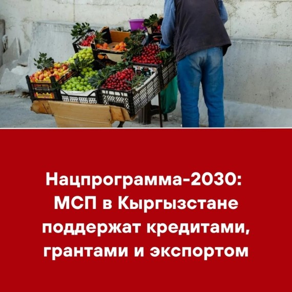 Нацпрограмма-2030: МСП в Кыргызстане поддержат кредитами, грантами и экспортом