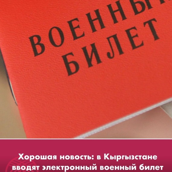 В Кыргызстане вводят электронный военный билет