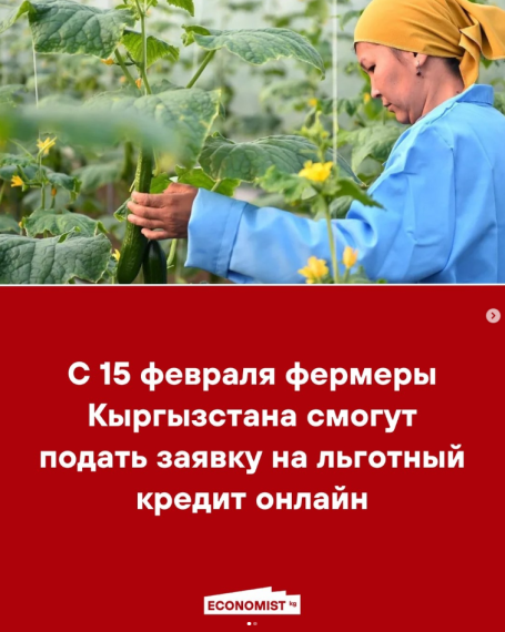 С 15 февраля фермеры Кыргызстана смогут подать заявку на льготный кредит онлайн