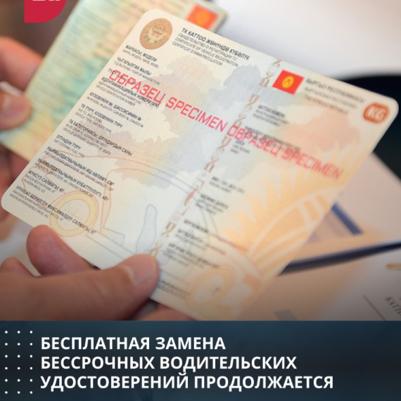 Бесплатная замена бессрочных водительских удостоверений продолжается