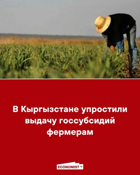 В Кыргызстане упростили выдачу госсубсидий фермерам