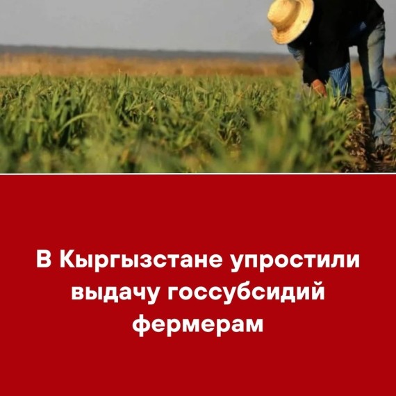 В Кыргызстане упростили выдачу госсубсидий фермерам