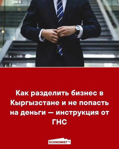 Как разделить бизнес в Кыргызстане и не попасть на деньги — инструкция от ГНС