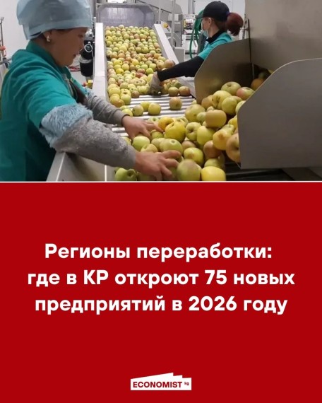 Регионы переработки: где в КР откроют 75 новых предприятий в 2026 году