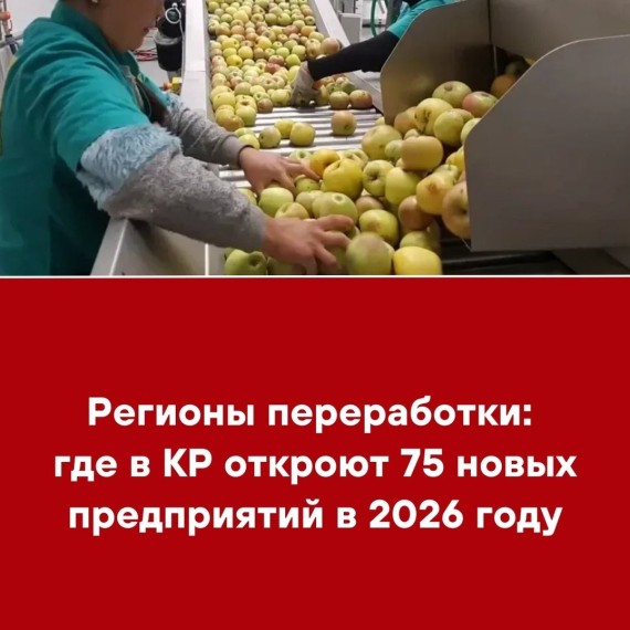 Регионы переработки: где в КР откроют 75 новых предприятий в 2026 году