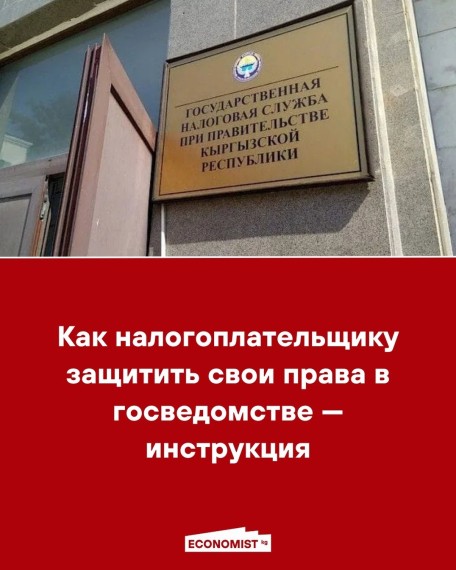 Как налогоплательщику защитить свои права в госведомстве - инструкция 