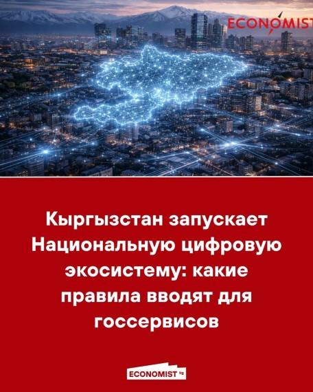 Кыргызстан запускает Национальную цифровую экосистему: какие правила вводят для госсервисов