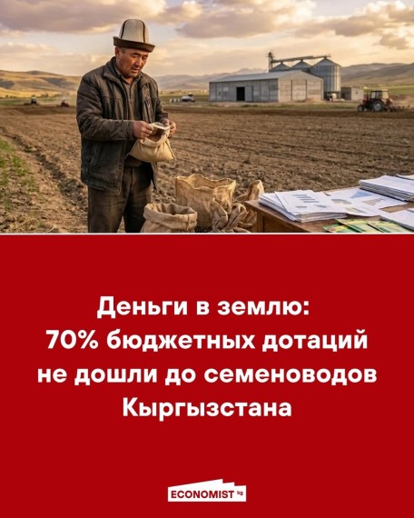 Деньги в землю: 70% бюджетных дотаций не дошли до семеноводов Кыргызстана