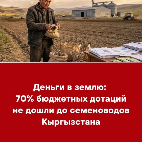 Деньги в землю: 70% бюджетных дотаций не дошли до семеноводов Кыргызстана