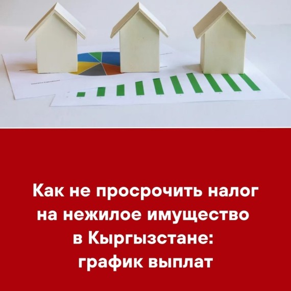 Как не просрочить налог на нежилое имущество в Кыргызстане: график выплат
