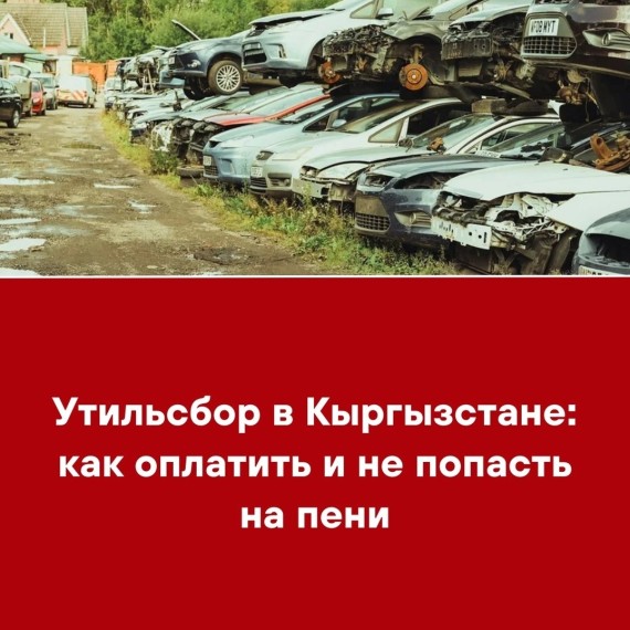 Утильсбор в Кыргызстане: как оплатить и не попасть на пени