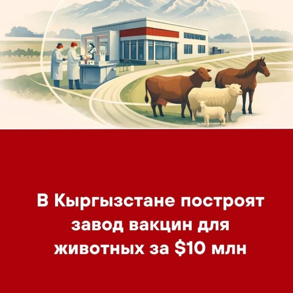 В Кыргызстане построят завод вакцин для животных за $10 млн