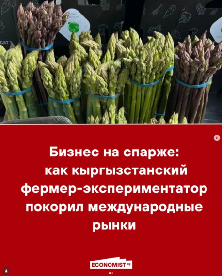 Бизнес на спарже: как кыргызстанский фермер-экспериментатор покорил международные рынки
