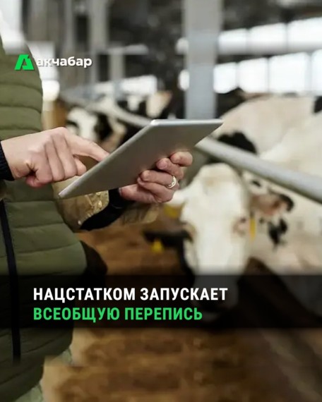 Нацстатком запускает всеобщую перепись