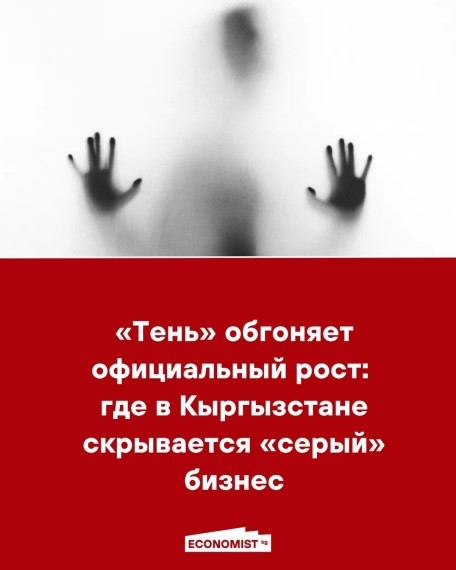 «Тень» обгоняет официальный рост: где в Кыргызстане скрывается «серый» бизнес