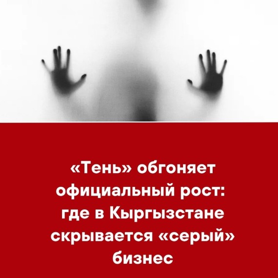 «Тень» обгоняет официальный рост: где в Кыргызстане скрывается «серый» бизнес