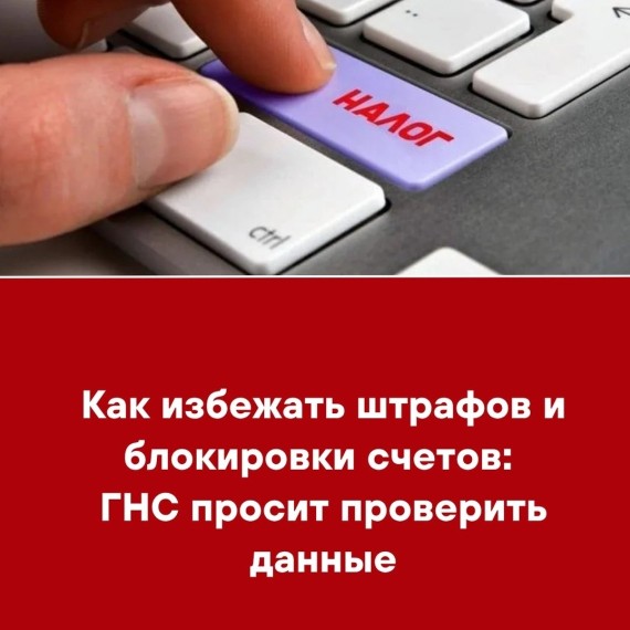 Как избежать штрафов и блокировки счетов: ГНС просит проверить данные
