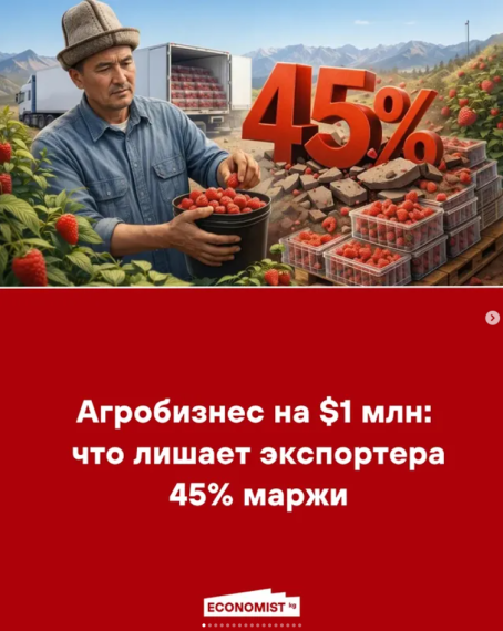 Агробизнес на $1 млн: что лишает экспортера 45% маржи