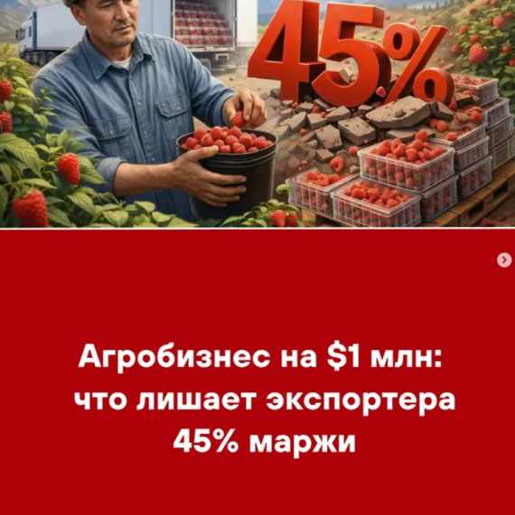 Агробизнес на $1 млн: что лишает экспортера 45% маржи