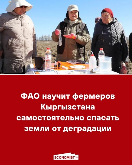 ФАО научит фермеров Кыргызстана самостоятельно спасать земли от деградации