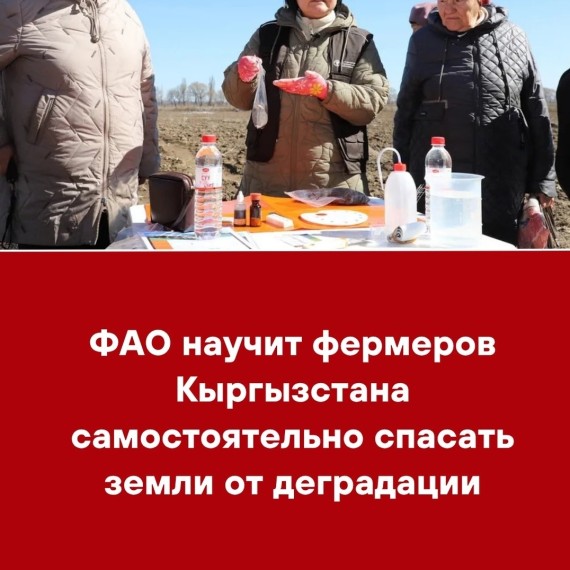 ФАО научит фермеров Кыргызстана самостоятельно спасать земли от деградации