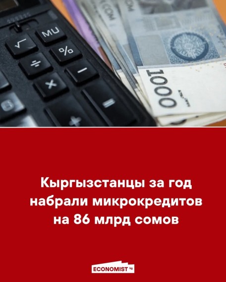 Кыргызстанцы за год набрали микрокредитов на 86 млрд сомов