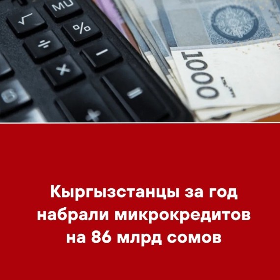 Кыргызстанцы за год набрали микрокредитов на 86 млрд сомов