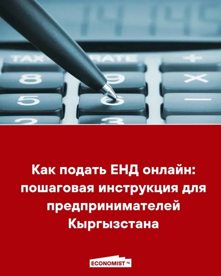 Как подать ЕНД онлайн: пошаговая инструкция для предпринимателей Кыргызстана 